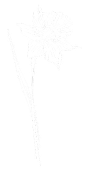 Left flower decoration